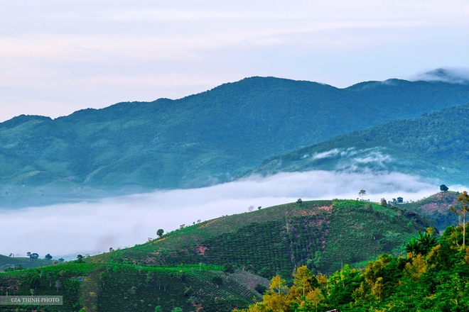 Charming Beauty Of Bao  Loc  Highland